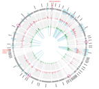 Microbial metagenomics