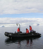 Antarctic phytoplankton webs